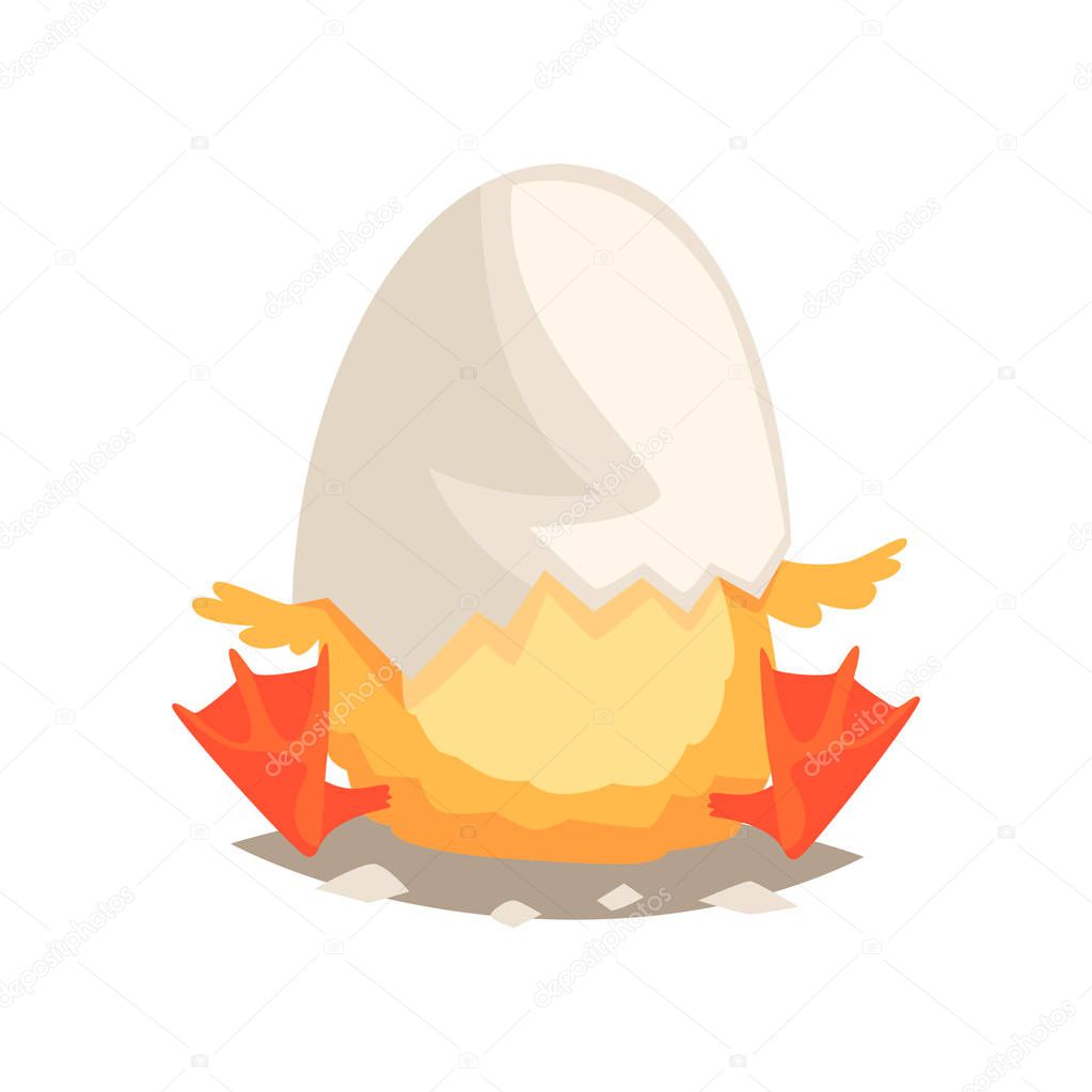 Funny newborn duckling with broken egg shell on the head