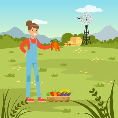 Çiftçi kadın hasat taze sebze, tarım ve tarım, kırsal manzara vektör çizim