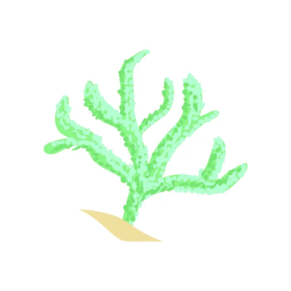 Cuero de dedo verde coral. Acuario animal invertebrado. Planta de dibujos animados de aguas tropicales — Vector de stock