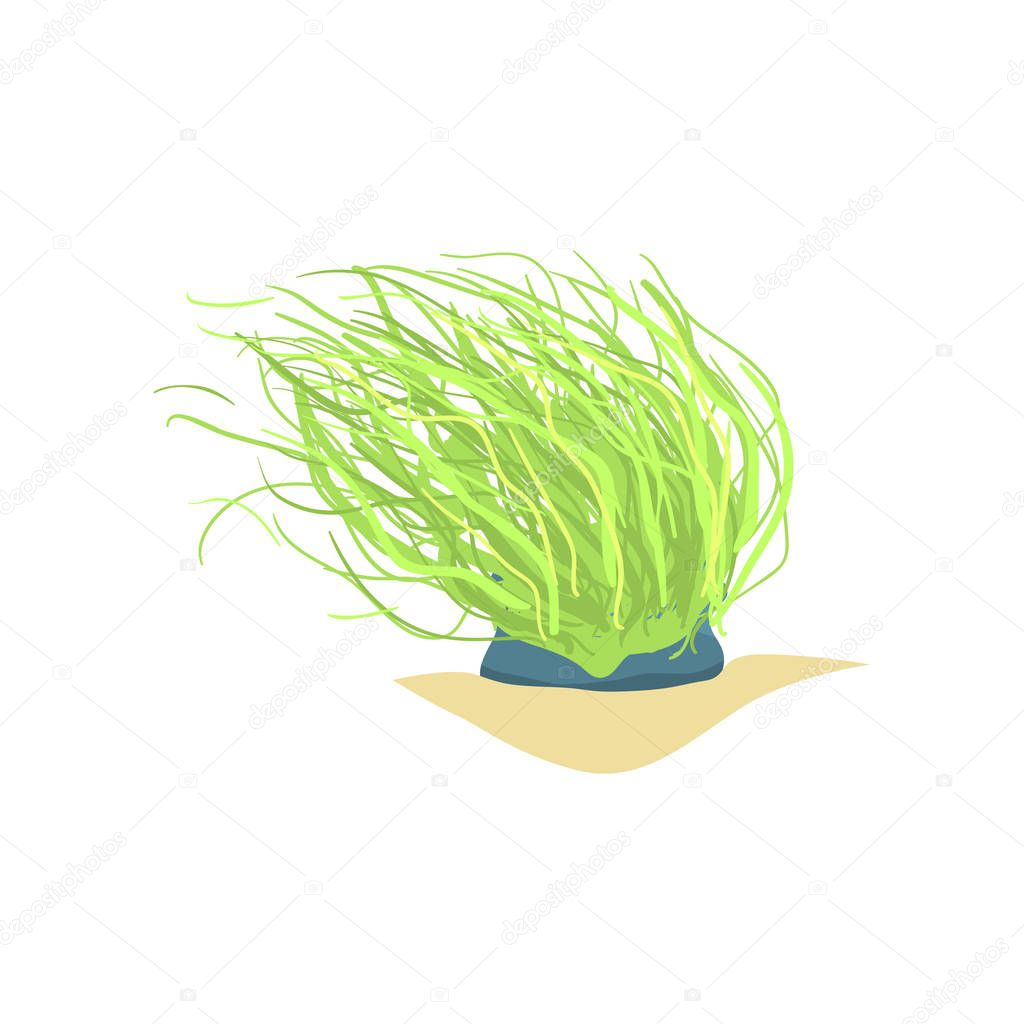 Flat illustration of long green sea plant. Coral on sandy ocean bottom. Marine flora, underwater world design
