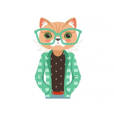 Turkuaz gözlük ve ceket, hipster hayvan düz vektör çizim şirin moda kedi çocuk karakterimde
