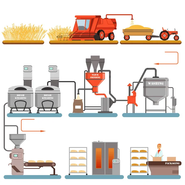 Etapas del proceso de producción de pan desde la cosecha de trigo hasta el vector de pan recién horneado Ilustraciones — Archivo Imágenes Vectoriales