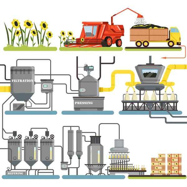 Proceso de producción de aceite de girasol etapas, cosecha de girasoles y embalaje de productos terminados vector ilustraciones — Vector de stock
