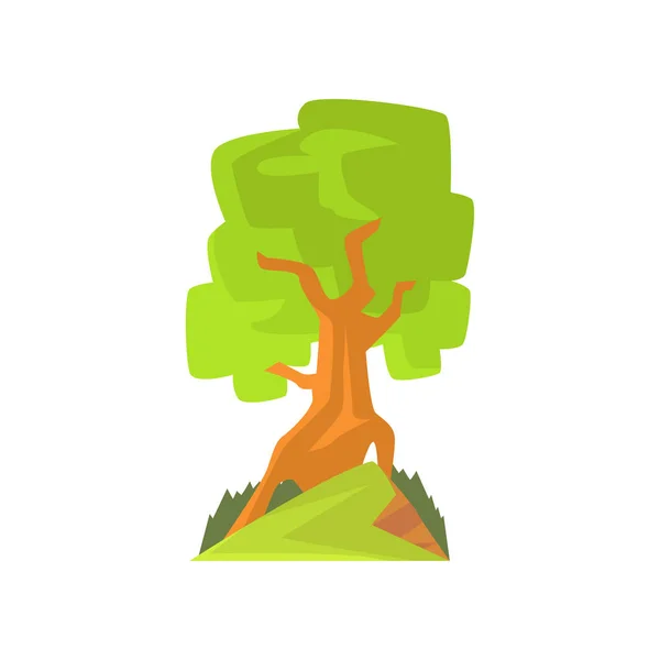 Adegan tanjung dengan hutan atau pohon taman. Pohon gugur dengan dedaunan hijau. Gambar tangan elemen desain alam hutan. Ilustrasi botani vektor datar - Stok Vektor