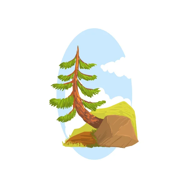 Ручная рисованная пейзажная сцена с вечнозеленой сосной, растущей за скалой. Хвойное дерево. Лес природы. Плоский вектор мультипликации . — стоковый вектор