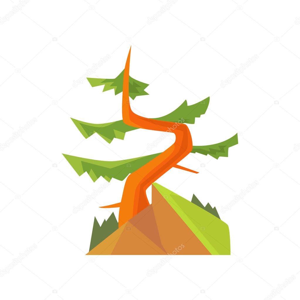 Hand drawn cartoon forest landscape with curved evergreen pine on the hill. Coniferous tree. Woodland nature. Flat vector botanical illustration