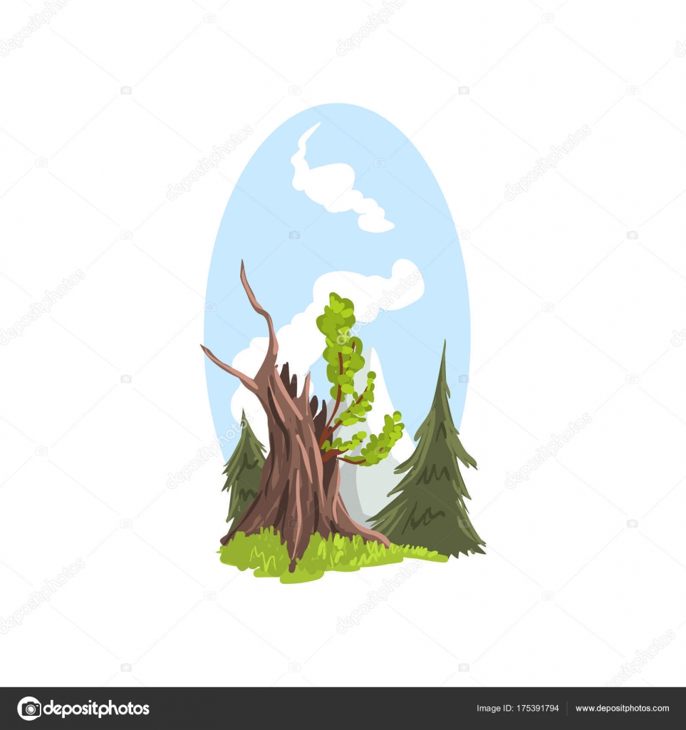 Disegnato a mano paesaggio rami giovani che cresce dal vecchio albero abeti tro Alberi di coniferi e latifoglie Elemento di disegno colorato natura