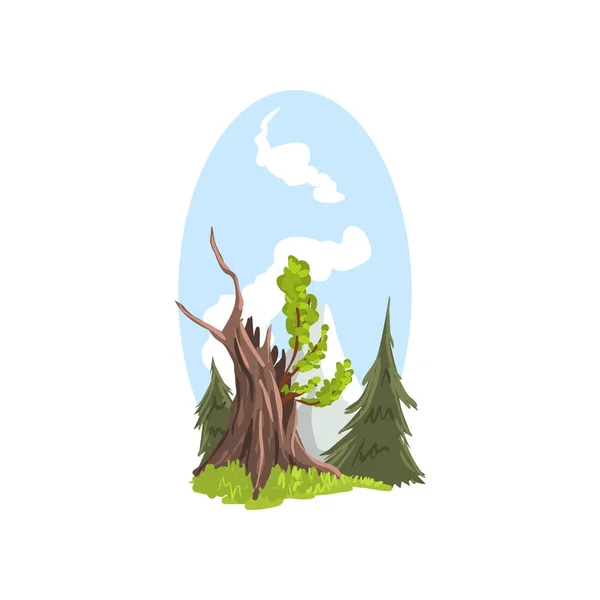 Hand drawn landscape young branches growing from old tree, firs behind. Coniferous and deciduous trees. Flat cartoon vector. — Stock Vector