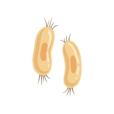 Her iki ucundaki kamçı ile spirillum yapısını. Mikroorganizma kavramı. Düz vektör tasarım öğesi tıbbi el ilanı, afiş veya Infographic