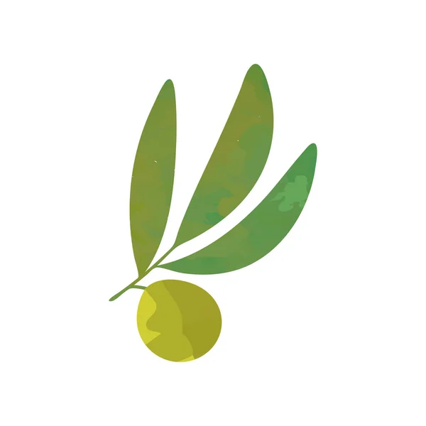 Small olive branch with green leaves isolated on white. Agricultural symbol. Healthy food concept. Natural graphic design. Cartoon flat vector — Stock Vector