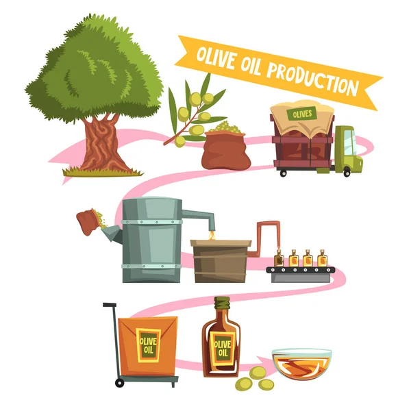 Process of olive oil production from cultivation to finished product growing tree, harvesting, sending to factory, pressing, bottling, packaging, transportation — Stock Vector
