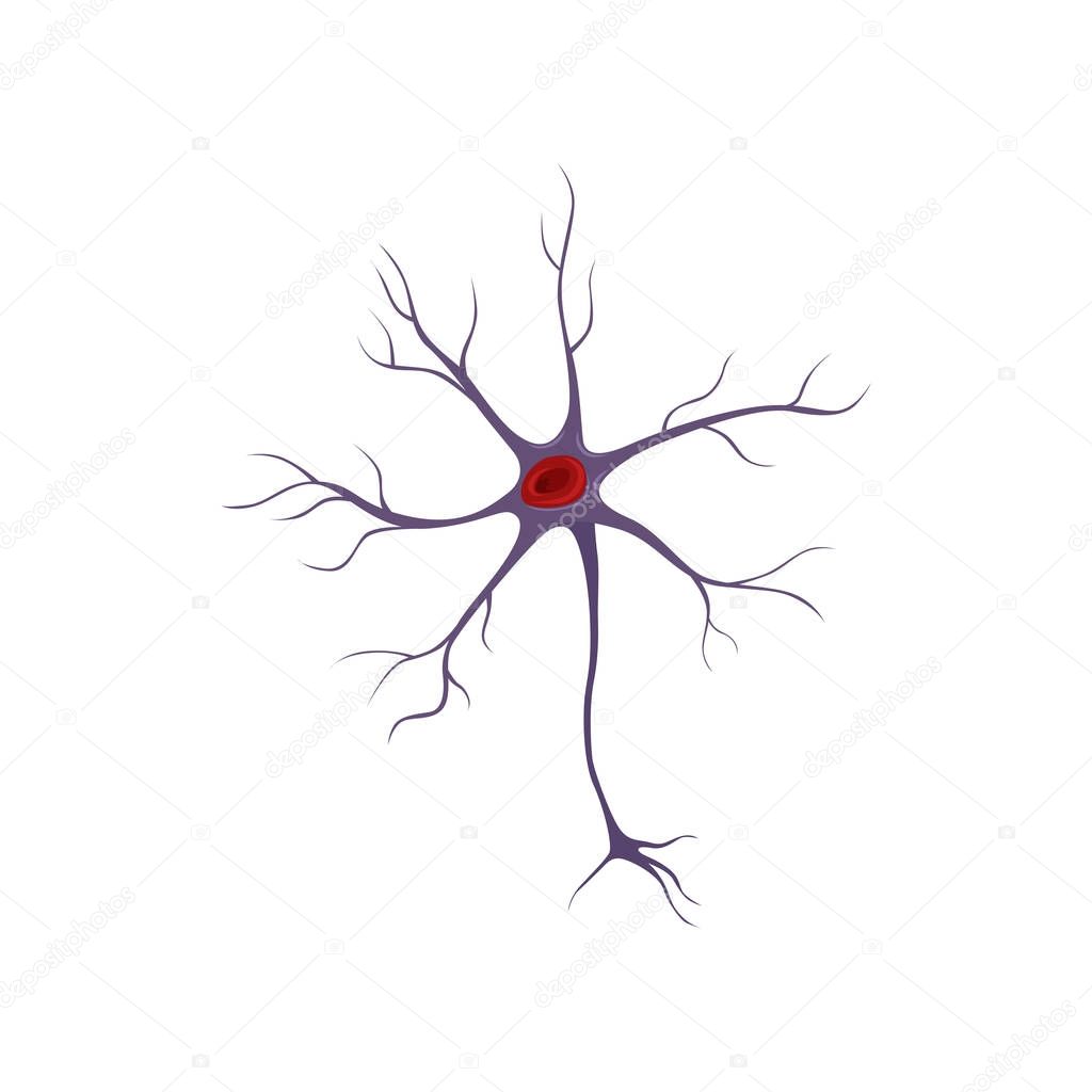 Structure of neuron, nerve cell. Anatomy and science concept. Icon in flat style. Flat vector design for medical brochure, poster or infographic