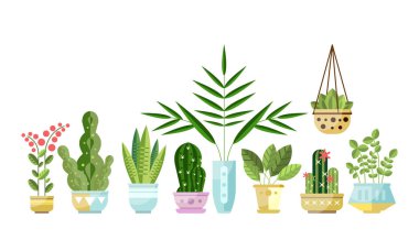 Düz stil renkli houseplants kuyrukta tencere seti. Ev Dekoratif bitkiler. Kapalı çiçek, tasarım öğeleri üzerinde beyaz izole vektör toplama.