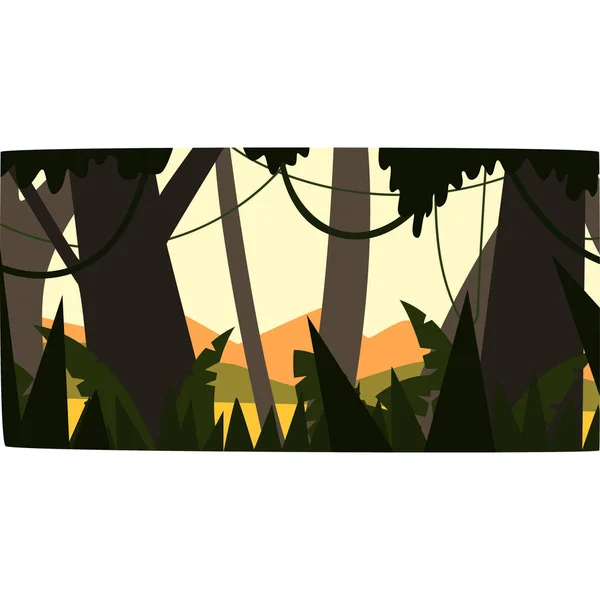 Sunrise in tropical jungle, greenwood background with leaves, bushes and trees, tropical forest scenery vector illustration — Stock Vector