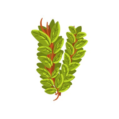 İngilizce Alfabe harf V, ağaç dalları, ekoloji eleman afiş, kart, etiket, sunu veya poster vektör çizim için yapılmış