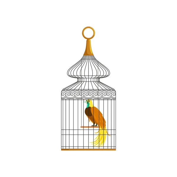 Colorido pájaro con largas plumas sentado en una antigua jaula metálica. Concepto de mascota doméstica. Elemento de diseño vectorial plano para infografía sobre el mantenimiento de mascotas en casa — Archivo Imágenes Vectoriales