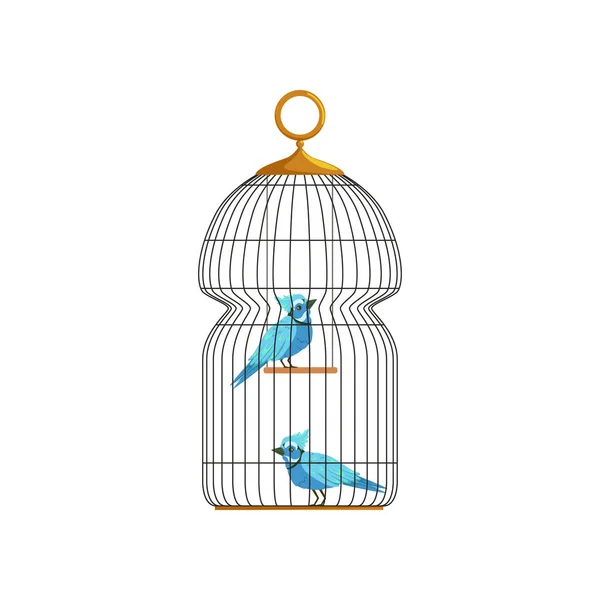 Un par de personajes azules de Jay en una gran celda colgante. Lindas aves con plumas brillantes. Icono en estilo plano. Elemento vectorial infográfico para mascotas — Archivo Imágenes Vectoriales
