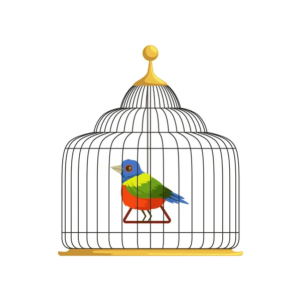 五颜六色的热带鸟坐在三角摇摆在古色古香的垂悬的笼子。羽毛状的创作之家。信息、网站或海报的平面矢量设计 — 图库矢量图片