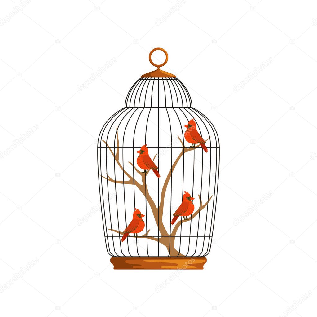 Cartoon northern cardinals sitting on wooden branch in cell. Birds with bright red plumage. Domestic animals. Colorful flat vector design for placard, flyer or badge