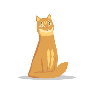 Kabarık Kızıl saçlı kedi mutlu namlu ile oturuyor. Evde beslenen hayvan karakter karikatür. Promosyon afiş Hayvanat Bahçesi Dükkanı, hayvan hastalıklarıyla ilgili klinik veya hayvan barınağı için düz vektör tasarımı