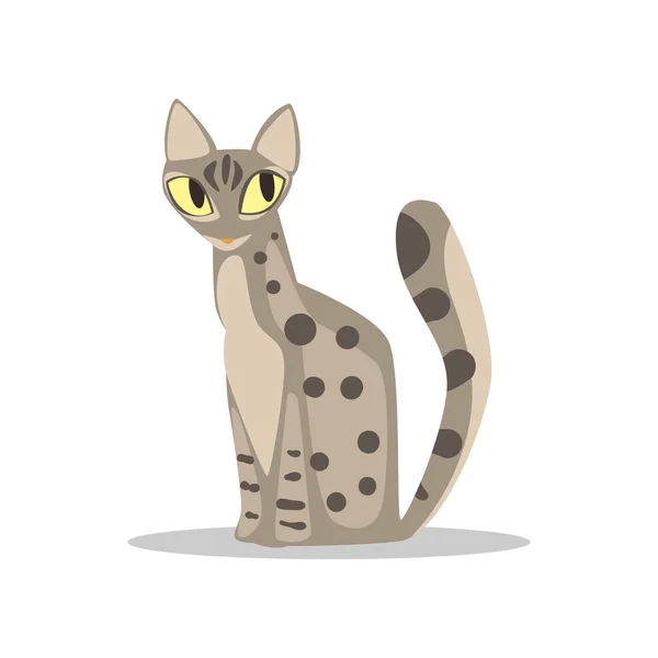 Lindo gato de pelo corto gris con cuerpo manchado, ojos amarillos y cola larga. Personaje de dibujos animados de animales domésticos. Diseño de vectores planos para pegatina, póster o camiseta — Vector de stock