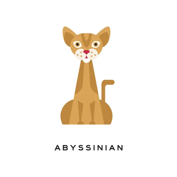 Καθαρόαιμος γάτα αβυσσινιακού. Κομψό Κοντότριχος αιλουροειδών με καφέ τιγρέ τρίχωμα, μυώδες σώμα, μεγάλα, μυτερά αυτιά και κόκκινη μύτη. Γελοιογραφία κατοικίδιων ζώων. Επίπεδη διανυσματική σχεδίαση — Διανυσματικό Αρχείο