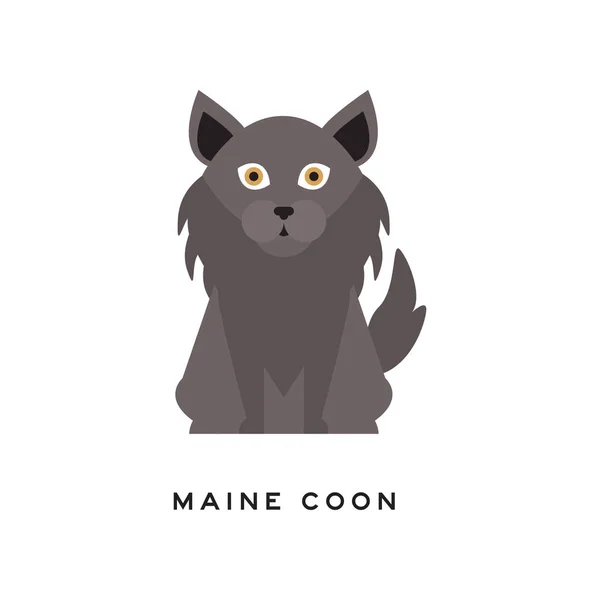 Porträtt av maine coon katt. Bedårande kattdjur med grå lång päls, ruff runt hals och stora bruna ögon. Tamdjur. Cartoon renrasiga husdjur. Flat vektor design — Stock vektor