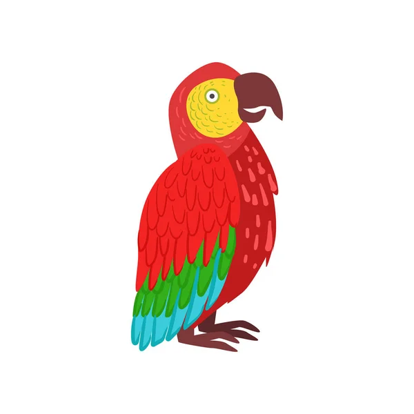 Wektor papuga Ara czerwony ilustracja — Wektor stockowy