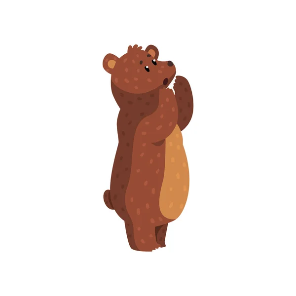 Cartoon ylande grizzlybjörn. Vilda djur med brun päls, små rundade öron och kort svans. Skog varelse. Flat vektor för barnens bok, klistermärke eller affisch — Stock vektor