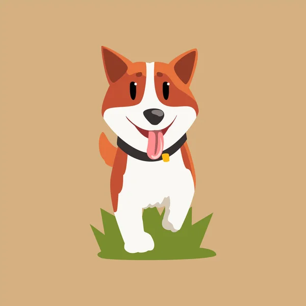 Adorable red-haired welsh corgi walking by green grass. Cartoon dog with happy muzzle. Purebred domestic animal. Flat vector design for postcard, sticker or print — Stock Vector