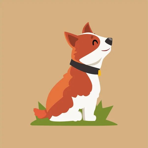 Dibujos animados perro corgi galés sentado en la hierba verde. Vista lateral. Animal doméstico con bozal feliz. El mejor amigo de los humanos. Diseño de vector plano para tarjeta, libro, póster o insignia — Archivo Imágenes Vectoriales