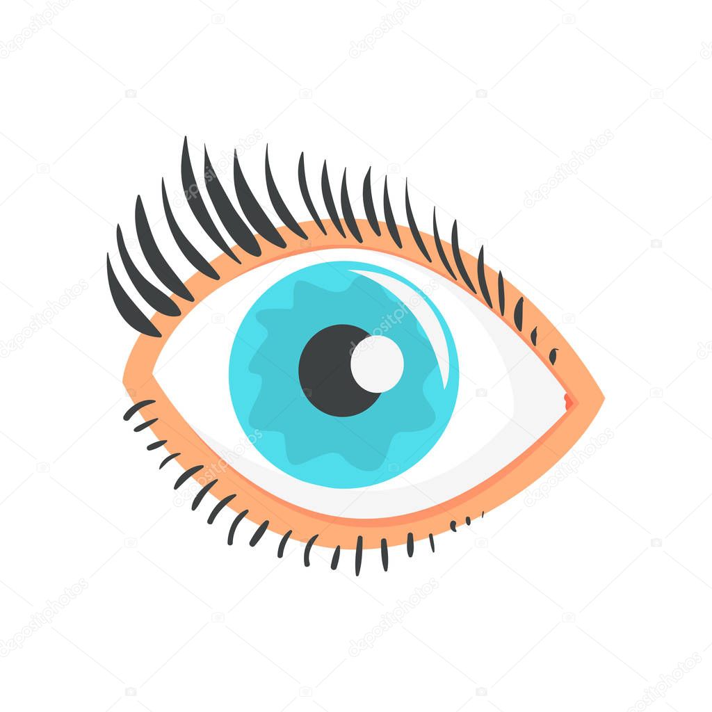 Hunman blue eye with eyelashes cartoon vector Illustration