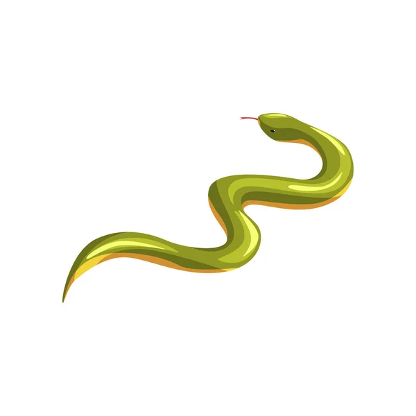 Cartoon Oost-Groene mamba. Gevaarlijke tropische slang met tong uit. Exotische huisdieren. Giftige slang. Giftige roofdier. Dieren in het wild. Platte vector design — Stockvector