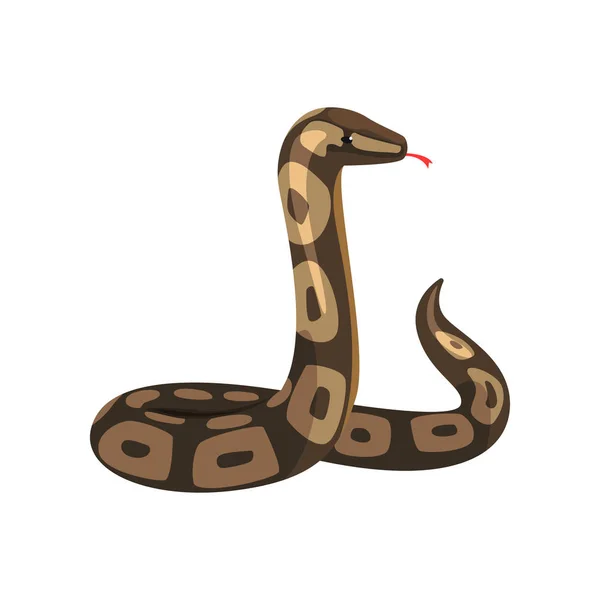 Python pythonidae tropical con la lengua fuera. Gran serpiente real de color oscuro no venenoso. Serpiente salvaje. Mascota exótica. Concepto de vida silvestre. Dibujos animados plano vector de diseño — Vector de stock