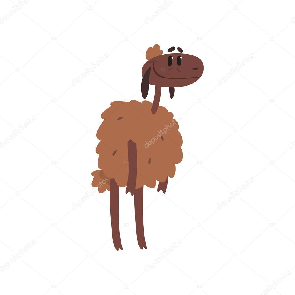 Cute funny sheep character cartoon vector illustration