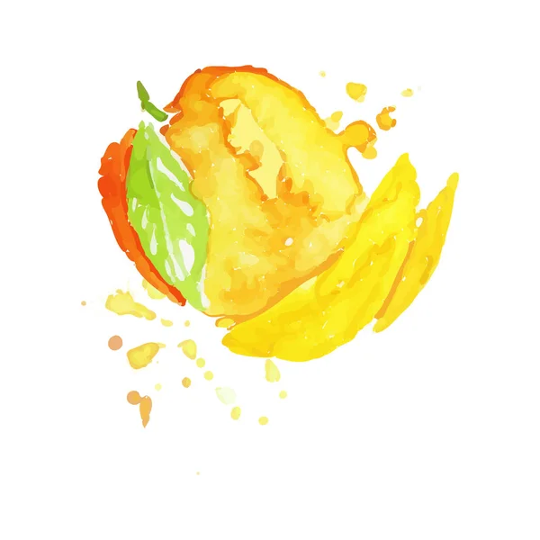 Colorida ilustración dibujada a mano de mango. Pintura de acuarela. Fruta exótica. Nutrición saludable. Producto natural. Comida ecológica. Vector para el envase de yogur o jugo — Vector de stock