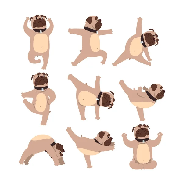 Rolig bulldog i olika ställningar av yoga. Hälsosam livsstil. Hund gör fysiska övningar. Tamdjur seriefigur. Färgglada platt vektor design — Stock vektor