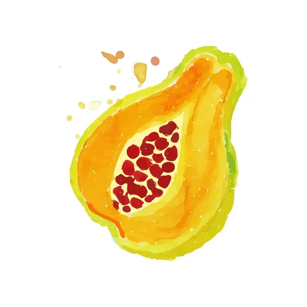 Pintura de acuarela brillante de pata de papaya pieza. Concepto de frutas tropicales. Nutrición vegetariana. Comida orgánica y sabrosa. Diseño para etiqueta o emblema. Vector dibujado a mano — Vector de stock