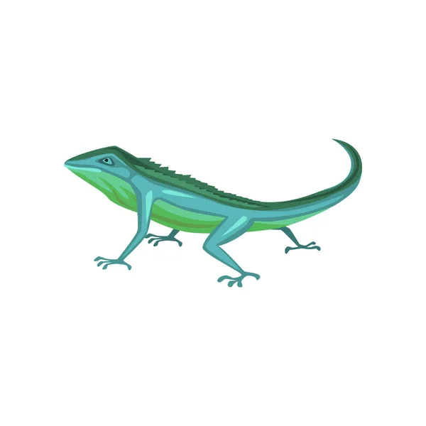 Salamander, obojživelníci zvířat kreslený vektorové ilustrace — Stockový vektor