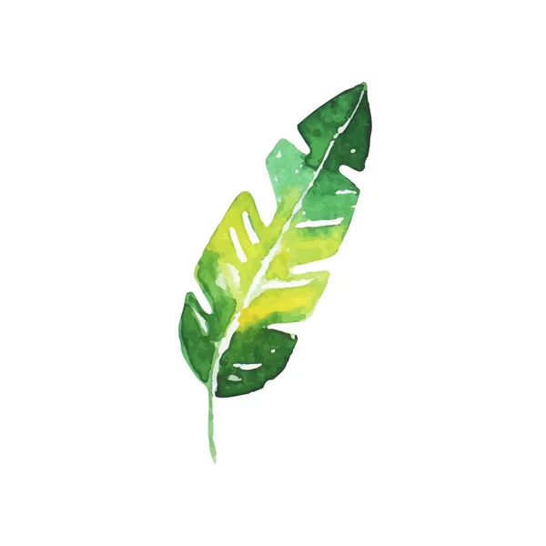 Verde hoja de plátano tropical dibujado a mano acuarela vector Ilustración — Archivo Imágenes Vectoriales