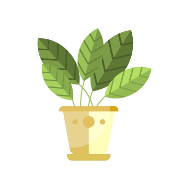 Spatifilyum ev bitkisi, kapalı tencerede, zarif ev dekorasyonu vektör çizim çiçek