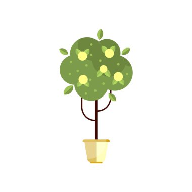 Ağaç ile tencerede yeşil yeşillik ve meyve, kapalı tencerede, zarif ev dekorasyonu vektör çizim çiçek