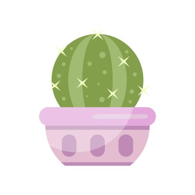 Kaktüs ev bitkisi, kapalı tencerede, zarif ev dekorasyonu vektör çizim çiçek