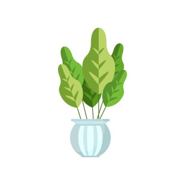 Otsu ev bitkisi, kapalı tencerede, zarif ev dekorasyonu vektör çizim çiçek