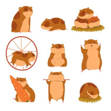 Sevimli çizgi hamster karakter kümesi, komik hayvan farklı durumlarda vektör çizimler