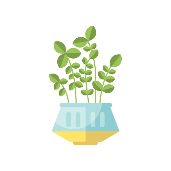 Green house plant, indoor flower in pot, elegant home decor vector Illustration — Stock Vector