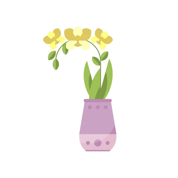 Gul orkidé krukväxt, inomhus blomma i kruka, elegant Heminredning vektor Illustration — Stock vektor