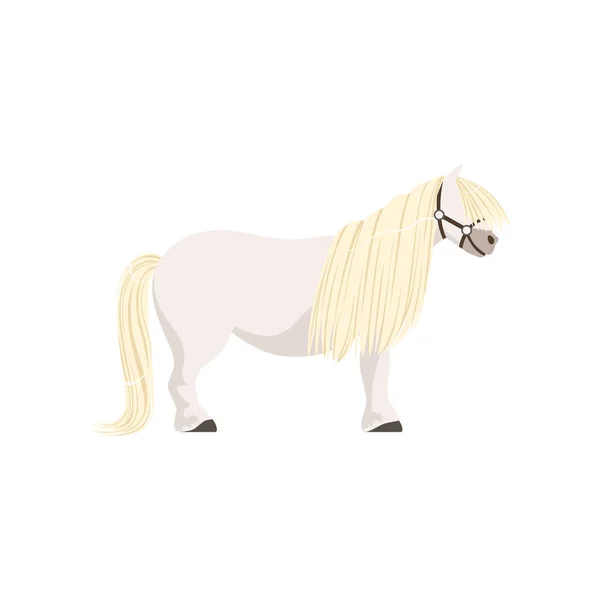 Poney blanc, pur-sang cheval vecteur Illustration — Image vectorielle