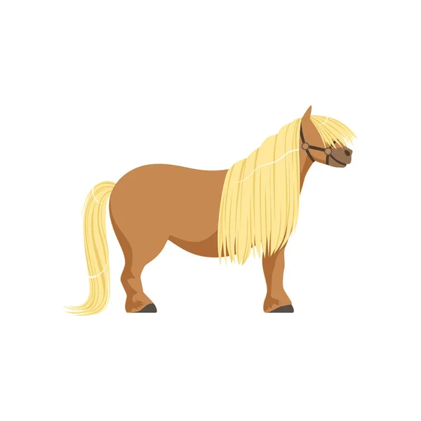 Πόνι Shetland, καθαρόαιμο άλογο διανυσματικά εικονογράφηση — Διανυσματικό Αρχείο