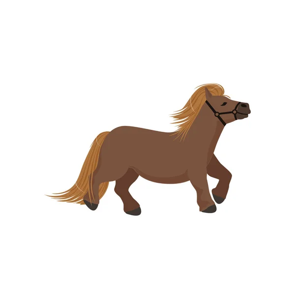 Leuke bruine pony, volbloed paard vector illustratie — Stockvector